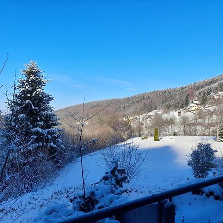 Апартаменти Schwarzwald Pur Засбахвальден Екстер'єр фото