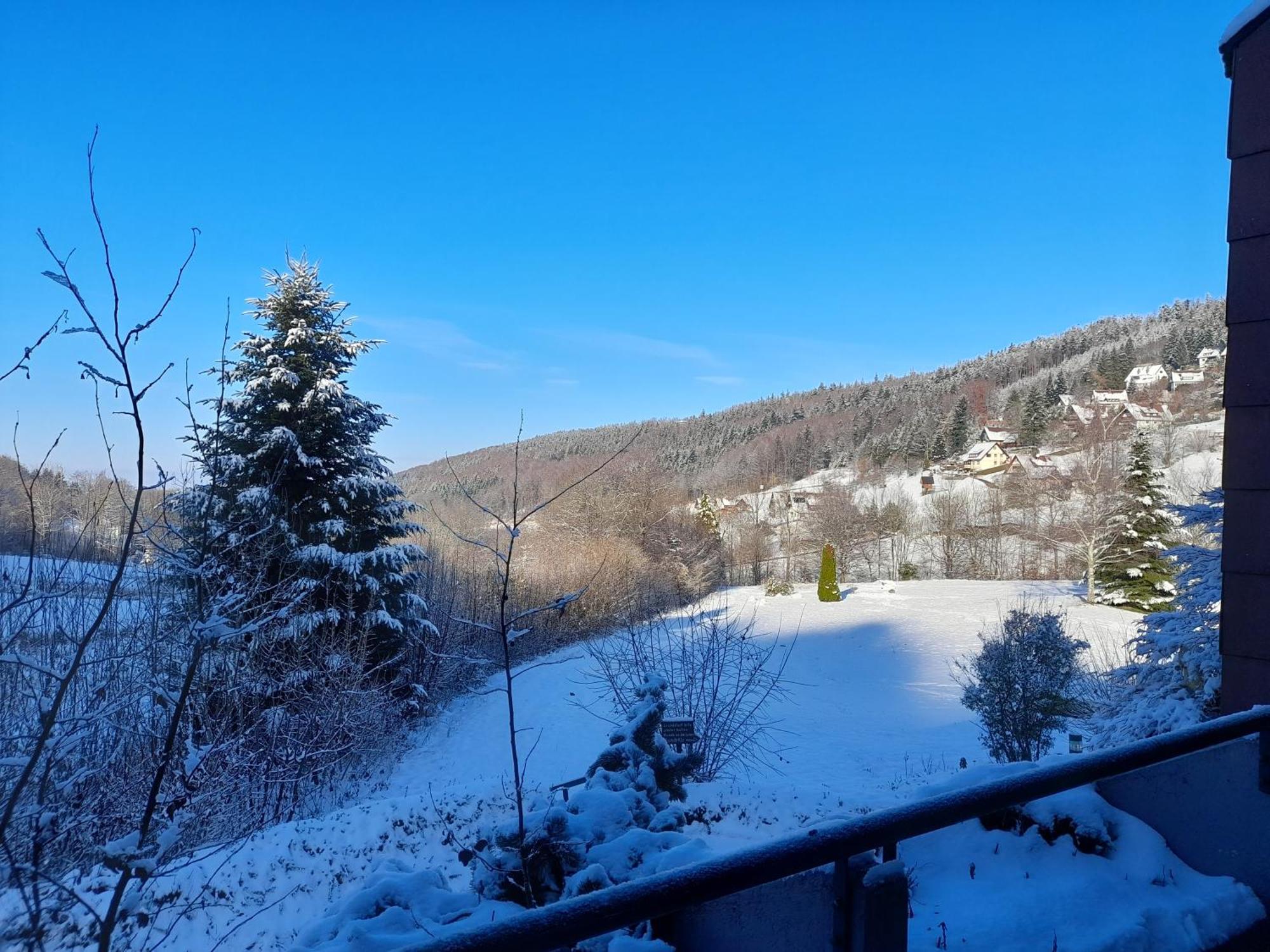 Апартаменти Schwarzwald Pur Засбахвальден Екстер'єр фото