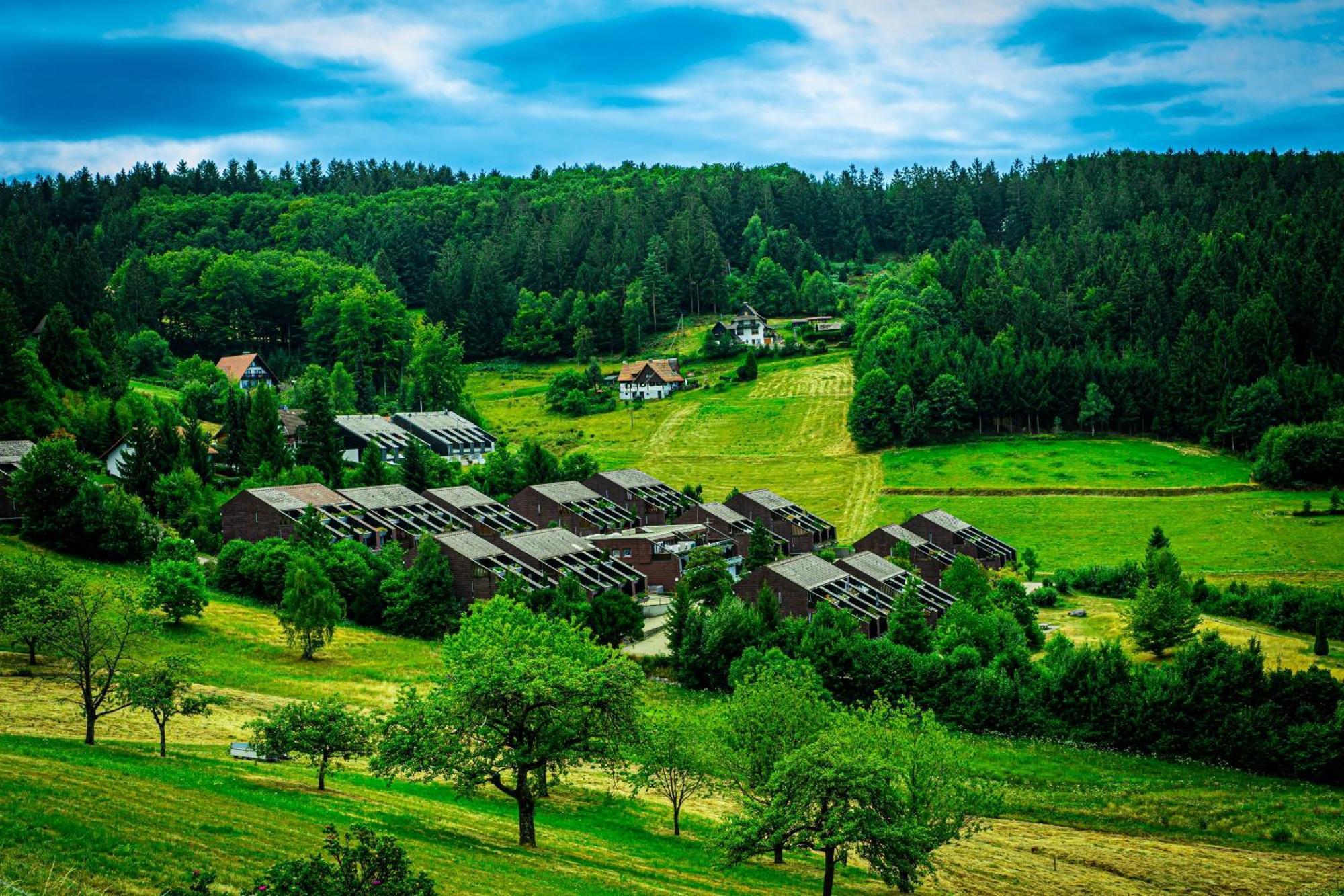 Апартаменти Schwarzwald Pur Засбахвальден Екстер'єр фото